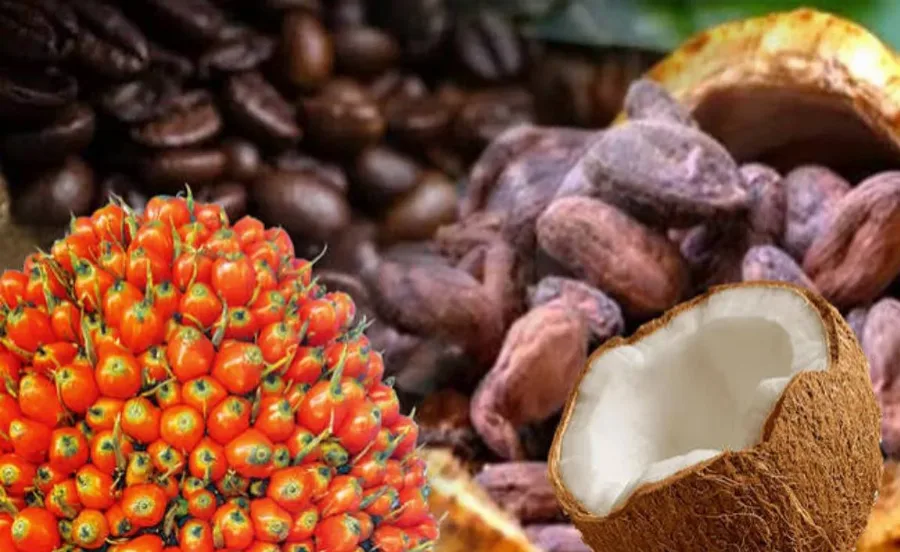 Perkuat Sektor Hulu Tanpa Ekspansi Lahan, Kementan Genjot Hilirisasi Kelapa, Kakao, Hingga Tebu