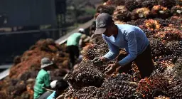 Ciptakan Nilai Tambah Sawit hingga Kakao, BPDP Cetak Wirausaha Muda Lewat The Plantationpreneurs Festival 2026