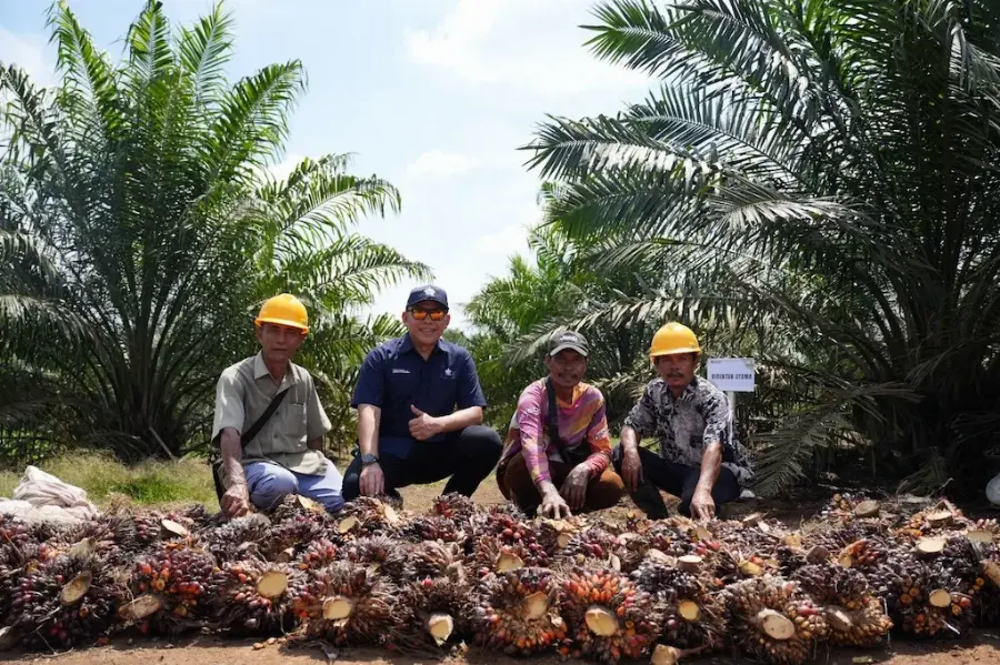 Bangun Kepercayaan dan Tumbuh Bersama Petani, PTPN IV PalmCo Targetkan PSR 64 Ribu Hektare Hingga 2029