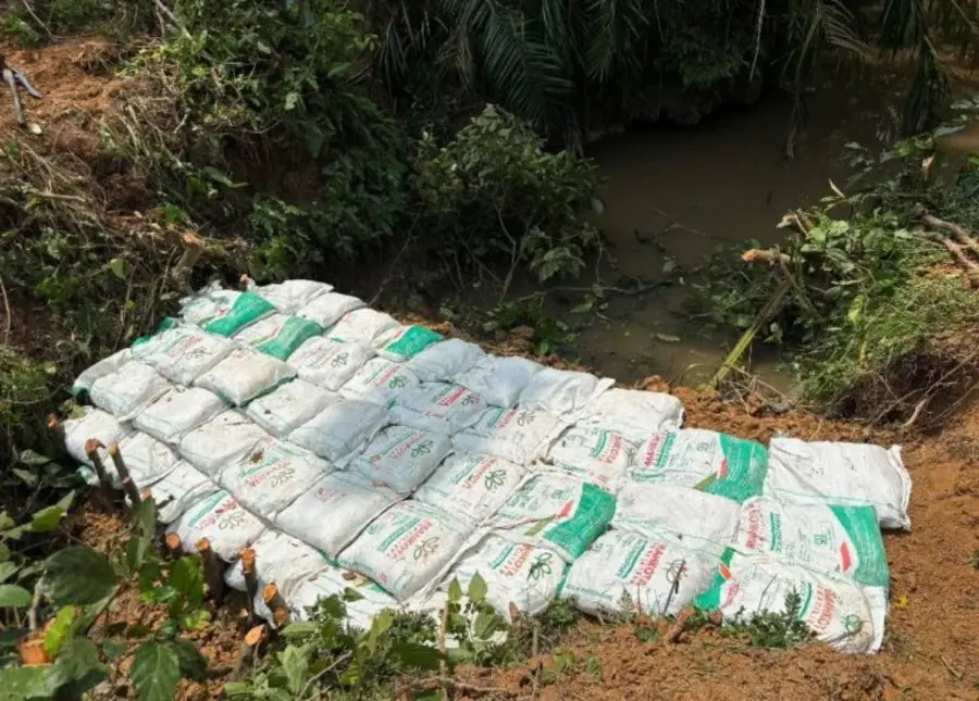 Jaga Basah Gambut dan Cegah Karhutla, 9 Desa di Jambi Bangun 25 Sekat Kanal Bersama Sinar Mas Agribusiness and Food