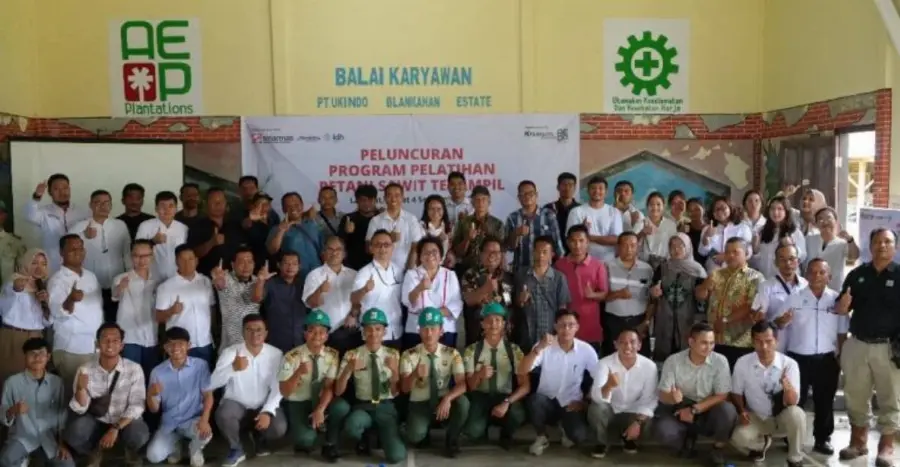 Gandeng UKINDO, Sinar Mas Agribusiness and Food Rangkul 1.500 Petani Swadaya Langkat Lewat Program Sawit Terampil