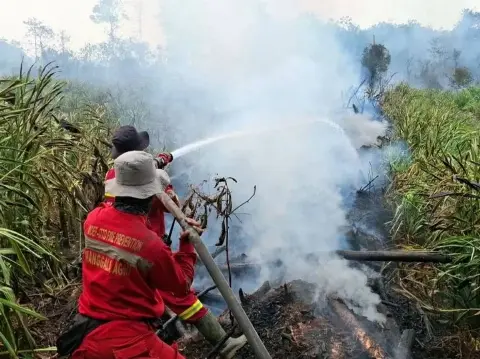 Hotspot High Confidence Turun Jadi 666 Titik, Kementerian Kehutanan Tetap Siagakan Operasi Darat, Udara, dan Penyelamatan Satwa
