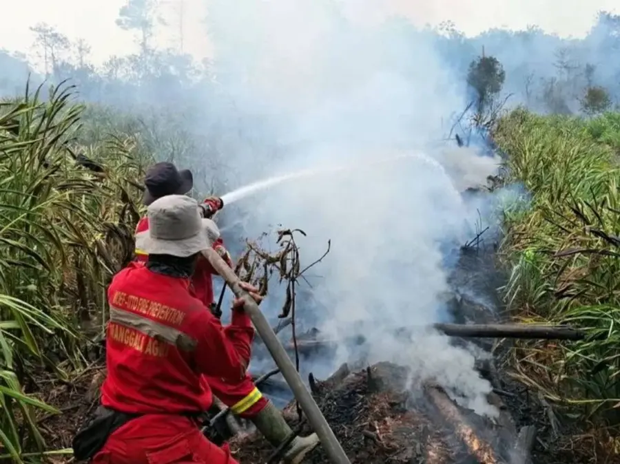 Hotspot High Confidence Turun Jadi 666 Titik, Kementerian Kehutanan Tetap Siagakan Operasi Darat, Udara, dan Penyelamatan Satwa