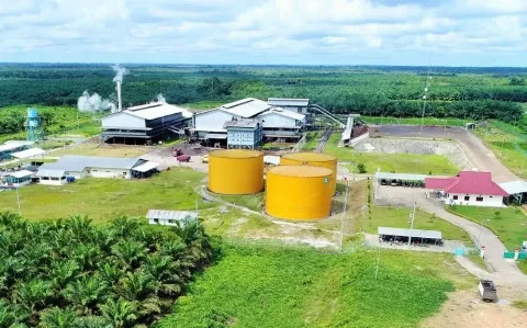 PT Pinago Utama Tbk  Resmi Berganti Nama Menjadi PT AEP Pinago Plantations Tbk Hari Ini