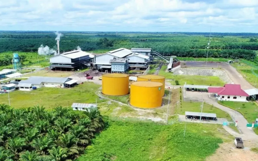 PT Pinago Utama Tbk Berganti Nama Menjadi PT AEP Pinago Plantations Tbk Usai Diakusisi AEP Plantations