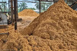 Ubah Limbah Jadi Nilai Tambah, Pakar Buka-Bukaan Soal Potensi dan Kendala Logistik Biomassa Sawit
