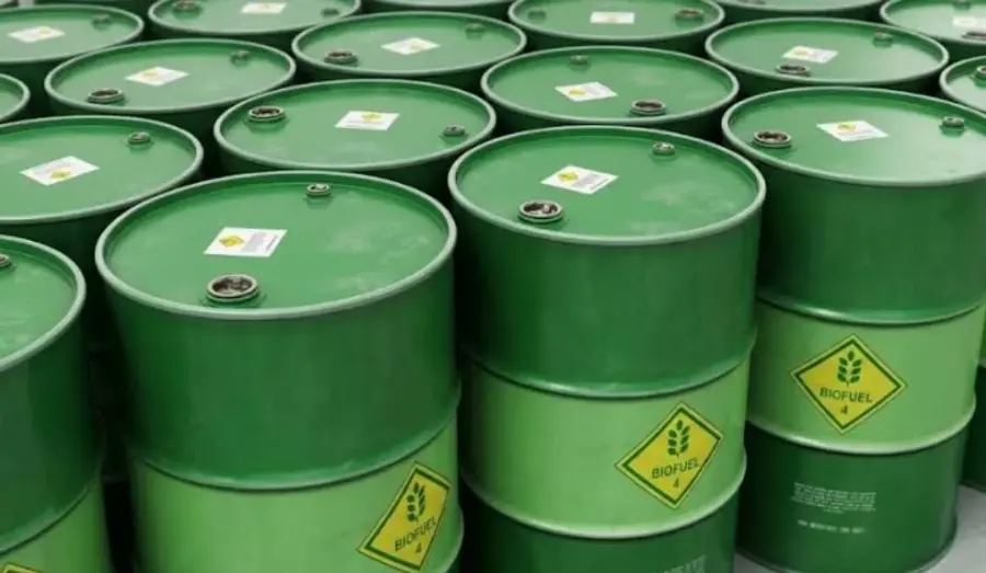 Jaga Keseimbangan Ekspor dan Pasokan Domestik, GAPKI Dorong Kebijakan Biofuel Fleksibel Ala Brasil