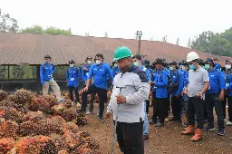 BPDP-Ditjenbun dan IPB Training Bekali Pekebun Sawit Jambi Tekan Kehilangan Hasil Panen