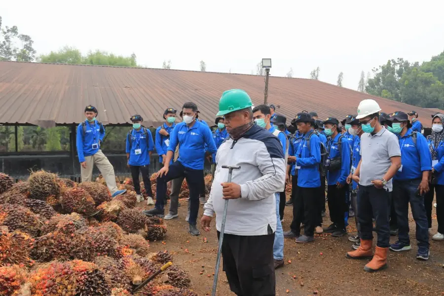 BPDP-Ditjenbun dan IPB Training Bekali Pekebun Sawit Jambi Tekan Kehilangan Hasil Panen