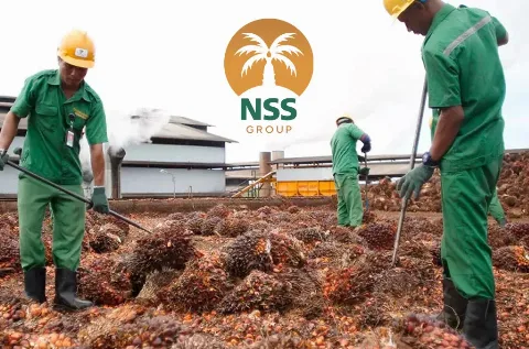 Nusantara Sawit Membukukan Laba Bersih Rp334,56 Miliar