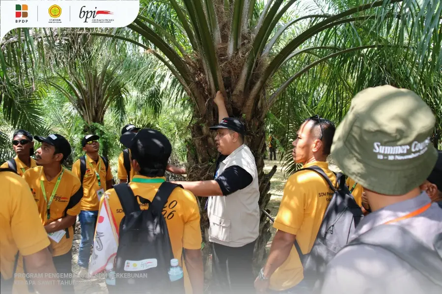 Menuju Kebun Sawit Produktif, BPDP & Ditjenbun Menggandeng BPI Mengadakan Pelatihan Benih Unggul Untuk Petani Aceh Timur