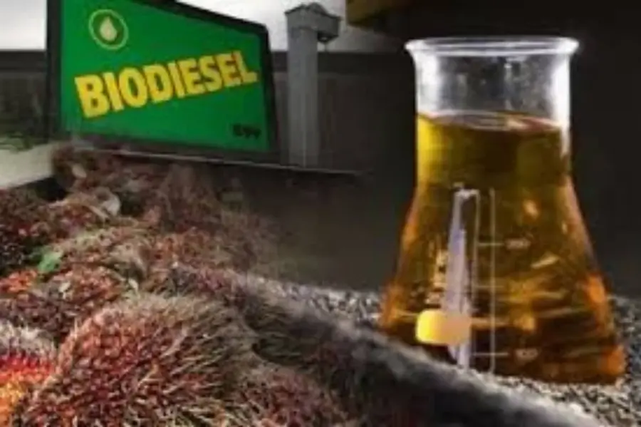 Perkuat Ketahanan Energi, Pemerintah Siapkan Mandatori Bioetanol Berbasis Komoditas Lokal