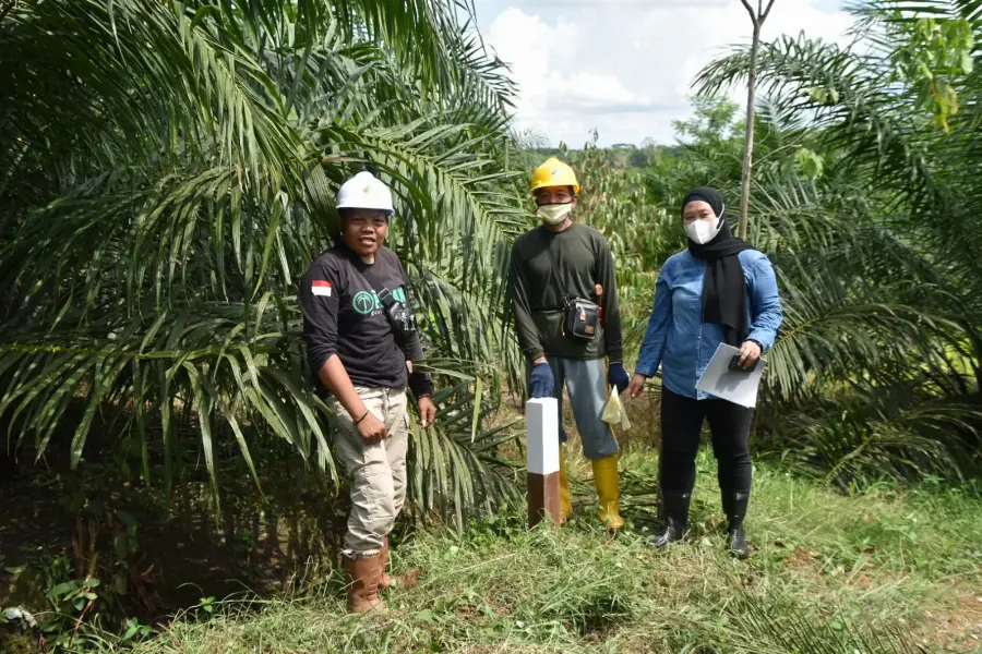 Sertifikasi ISPO Berawal dari Perubahan Cara Berpikir Petani