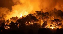 Pemerintah Bidik Revisi Pasal 69 UU PPLH, Industri Sawit Pertegas Komitmen Zero Burning