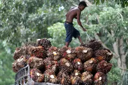 BPDP Dorong UMKM Kembangkan Produk Bernilai Tambah Berbasis Turunan Minyak Sawit