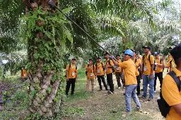 BPDP dan Best Planter Indonesia Latih 60 Orang Petani sawit Kota Subulussalam pengendalian penyakit Ganoderma