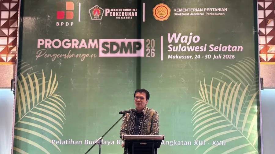 Perubahan Iklim Ancam Produktivitas Sawit, Petani Diminta Perkuat Adaptasi Kebun