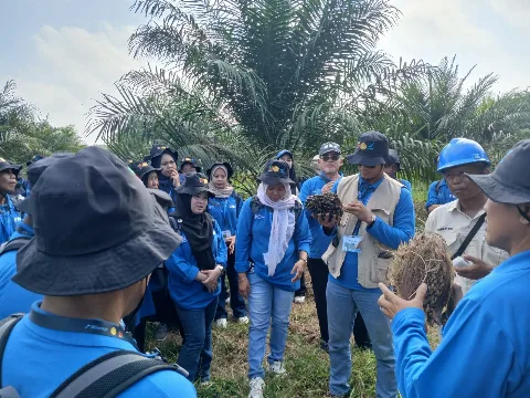 Kompetensi Pekebun Jadi Fondasi Kemajuan Sawit, BPDP, Ditjenbun, dan IPB Training Latih 128 Petani Musi Rawas