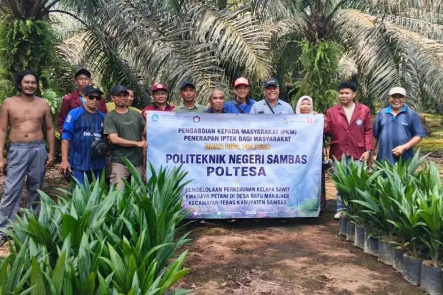 Politeknik Negeri Sambas Dorong Tata Kelola Sawit Swadaya Berkelanjutan