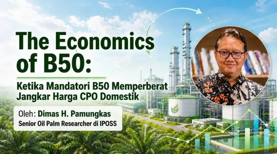 The Economics of B50: Ketika Mandatori B50 Memperberat Jangkar Harga CPO Domestik