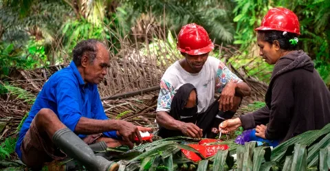 K3 Dinilai Meningkatkan Produktivitas dan Memperkuat Daya Saing Industri Kelapa Sawit Nasional