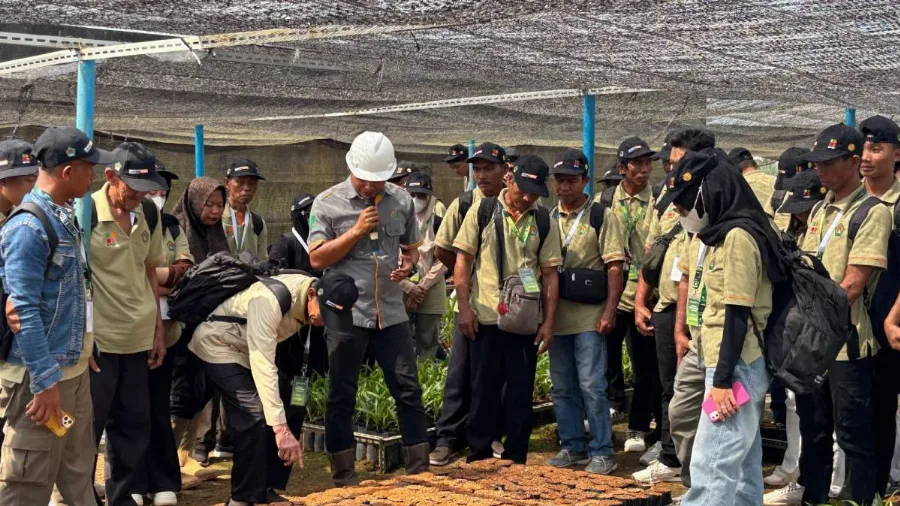 Field Trip ke Kebun BGA, Pekebun Barito Utara Bedah Praktik Budidaya Sawit