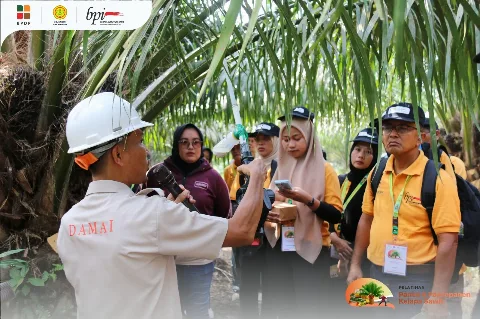 Menuju Petani Sawit Hebat, BPDP Kembali Mengadakan Pelatihan Panen