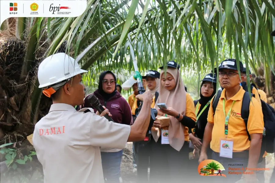Menuju Petani Sawit Hebat, BPDP Kembali Mengadakan Pelatihan Panen