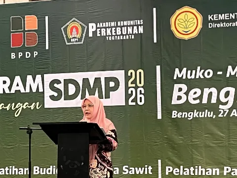 Kualitas TBS Menentukan Harga, Pekebun Bengkulu Diminta Perbaiki Tata Kelola Kebun