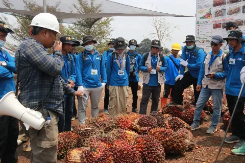 Bukan Sekadar Teori, 174 Petani OKU Diperkuat Kompetensinya dari Bibit hingga Mekanisasi