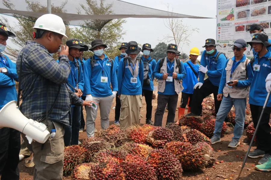 Bukan Sekadar Teori, 174 Petani OKU Diperkuat Kompetensinya dari Bibit hingga Mekanisasi