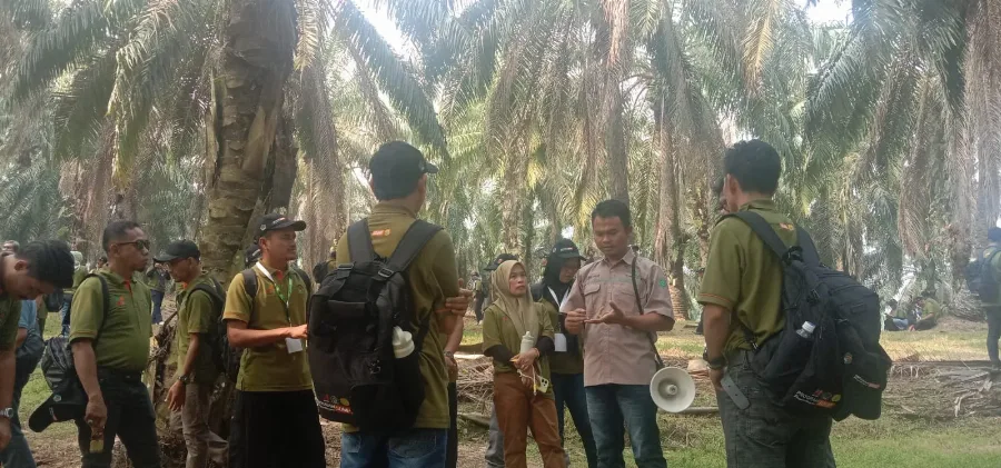 Bukan Sekadar Studi Banding, 156 Pekebun Sawit dan Perusahaan Belajar Dua Arah