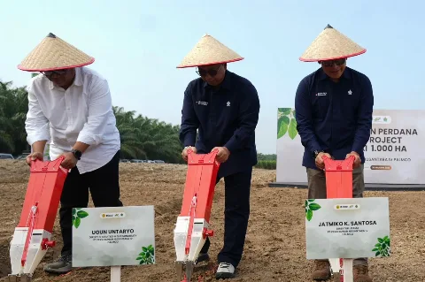Tekan Impor, PalmCo Mulai Pilot Project Kedelai 1.000 Ha di Lahan Replanting Sawit