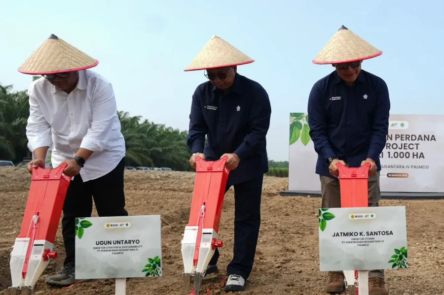 Tekan Impor, PalmCo Mulai Pilot Project Kedelai 1.000 Ha di Lahan Replanting Sawit