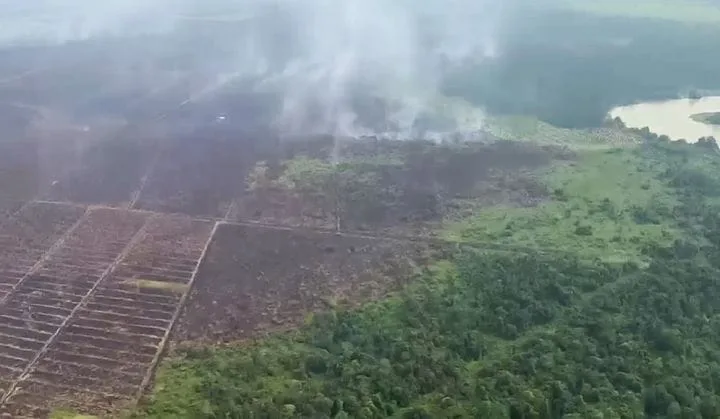 Karhutla Kepung Sumatera: Riau Sumbang 234 Titik Panas, Indragiri Hilir Tertinggi