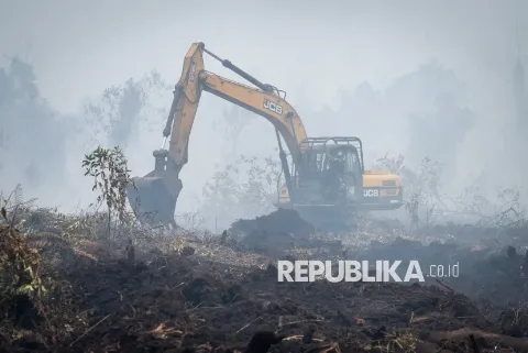 Hadapi Ancaman El Nino Ekstrem, Pakar Hukum Kehutanan Serukan Gotong Royong Tangani Karhutla Tanpa Saling Tuding