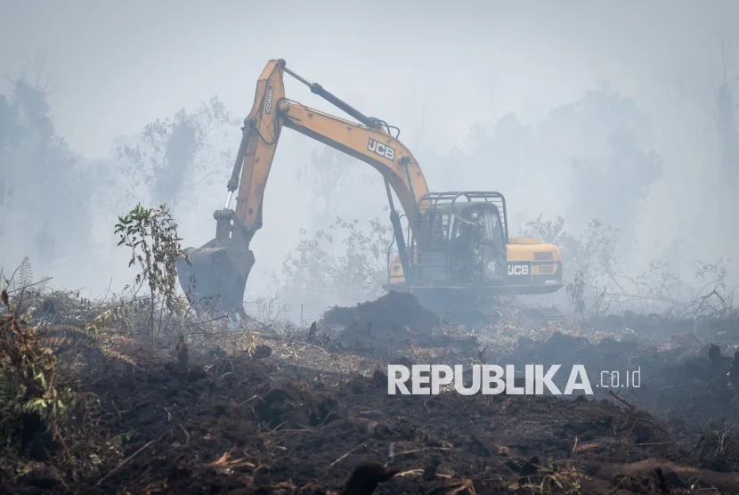 Hadapi Ancaman El Nino Ekstrem, Pakar Hukum Kehutanan Serukan Gotong Royong Tangani Karhutla Tanpa Saling Tuding