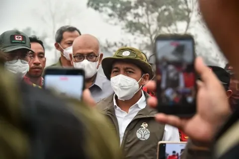 Bukan Sawit, Kemenhut Bekukan Izin Usaha Perusahaan Kehutanan