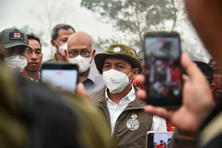 Bukan Sawit, Kemenhut Bekukan Izin Usaha Perusahaan Kehutanan