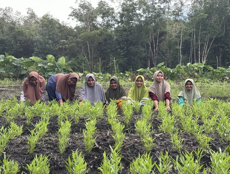 Jurus Srikandi Dusun Pinang: KWT Pinang Lestari Sulap Lahan Bangka Barat Jadi Lumbung Kemandirian Pangan Keluarga