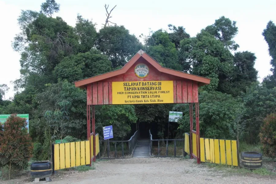 Palm Oil and Nature Conservation: Producing More, Protecting More