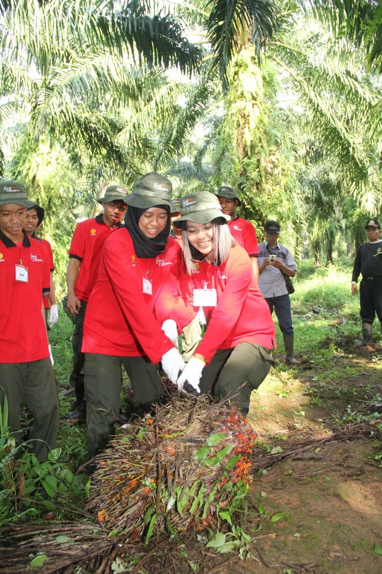 Industri Minyak Sawit Indonesia Menuju 100 Tahun NKRI (Bagian CXLIX)