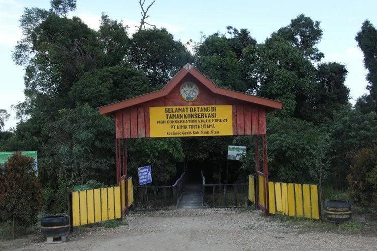 Memoar “Duta Besar” Sawit Indonesia (Bagian XXXIII)