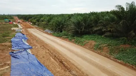 Memoar “Duta Besar” Sawit Indonesia (Bagian CXCIX)