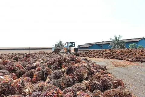 Industri Minyak Sawit Indonesia Menuju 100 Tahun NKRI (Bagian CLXXII)