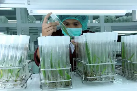 Industri Minyak Sawit Indonesia Menuju 100 Tahun NKRI (Bagian CLXXIV)