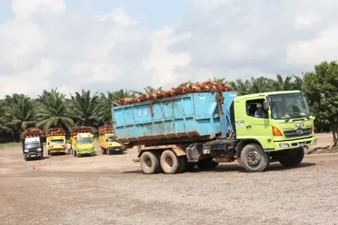 Industri Minyak Sawit Indonesia Menuju 100 Tahun NKRI (Bagian CLXXV)