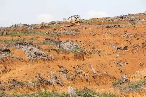 Memoar “Duta Besar” Sawit Indonesia (Bagian CCC)
