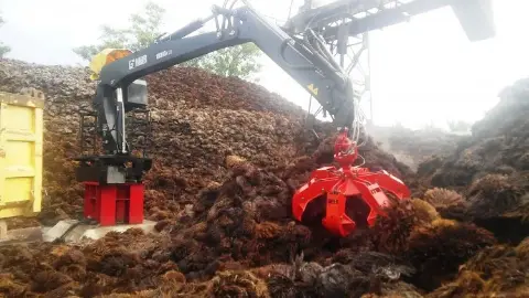 Manfaatkan Kebijakan Green Energy Jepang, Kemendag Dorong Ekspor Produk Biomassa ke Negeri Sakura