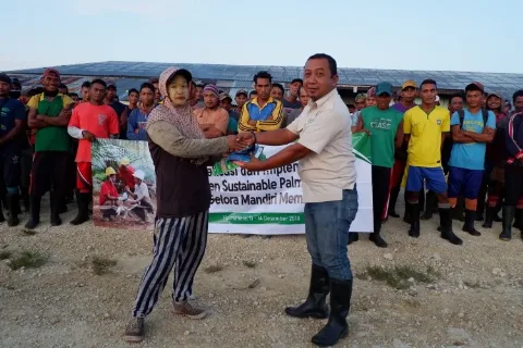 Dari Sawit, Ekonomi Halmahera Selatan Bisa Tumbuh